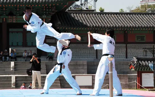 ▲ ‘2009 서울 태권도 관광 프로그램’은 외국인 관광객과 시민들을 대상으로 태권도 상설시범과 체험 프로그램으로 운영되고 있는데, 특히 태권도를 소재로 한 퍼포먼스 작품개발은 태권도를 ‘스포츠’라는 인식에서 ‘예술작품’으로 승화시켰다는 평가를 받고 있다. 태권도 시범 프로그램은 무용단의 춤사위로 시작하여 국기원 시범단의 격파 및 화려한 겨루기 시범 등으로 관객들의 흥미를 유발할 수 있는 구성으로 시범단의 절도 있는 동작은 관객들에게 즐거운 볼거리를 제공하고 있다.