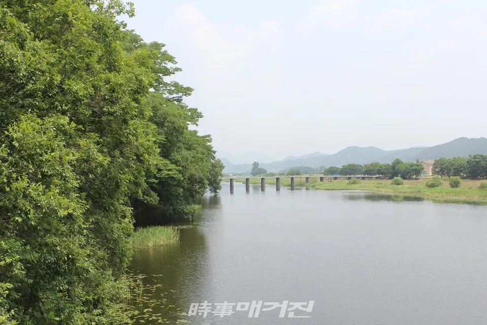 화순군 동복면 화순동북연둔리숲정이.(사진_문학박사 潤道 강윤관)
