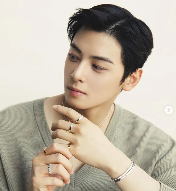 차은우(사진=차은우 인스타그램)
