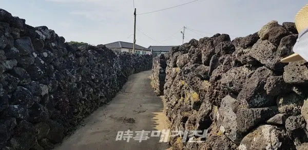 돌담길