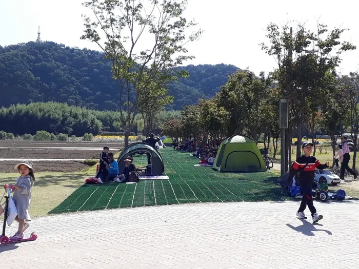 잔디보호매트설치완료(사진제공:울산시청)