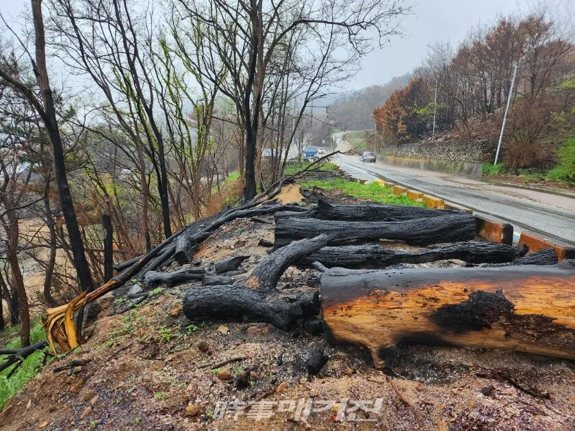 영남 산불의 화마로 잿더미가 된 영덕 해안절경길 블루 로드와 해안의 어촌 마을.(사진_조용우 칼럼니스트)