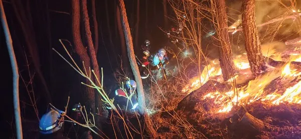 전남 순천 산불.. 5시간 18분만에 주불 진화완료