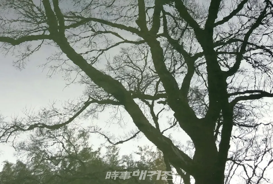 남원 광한루.(사진_문학박사 潤道 강윤관)