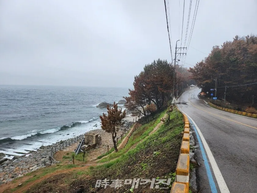 영남 산불의 화마로 잿더미가 된 영덕 해안절경길 블루 로드와 해안의 어촌 마을.(사진_조용우 칼럼니스트)