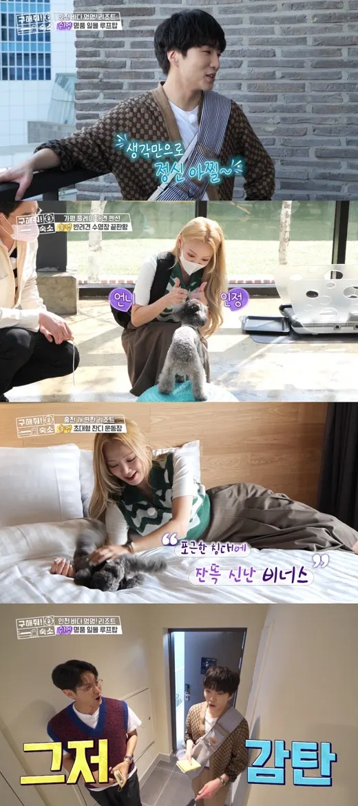 '구해줘 숙소' 강승윤X효연 반려견 '펫캉스' 숙소 개봉박두(사진=MBC)