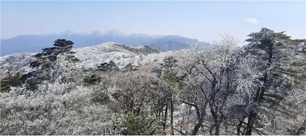 사진=지리산국립공원 연하천 대피소에서 바라본 상고대 전경 (지난해 모습)
