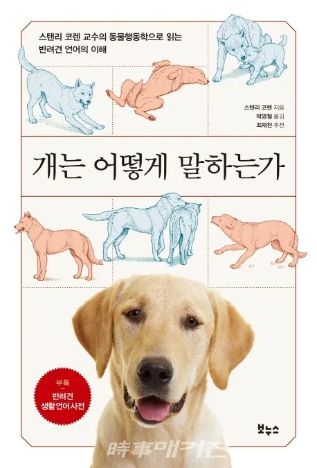 저자 스탠리 코렌 | 옮김 박영철 | 출판사 보누스