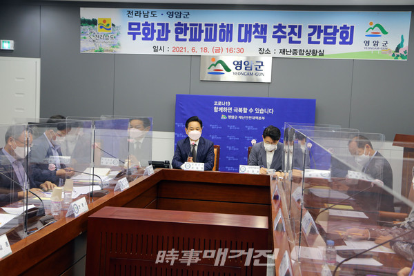 영암군, 전남도와 무화과 한파피대 대책 추진 간담회 개최 장면 (사진_영암군)