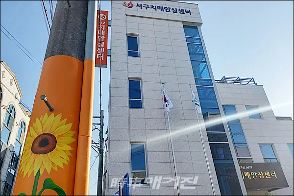 광주 서구 치매안심센터, ‘안내 꽃길’ 눈길!(사진_광주 서구제공)