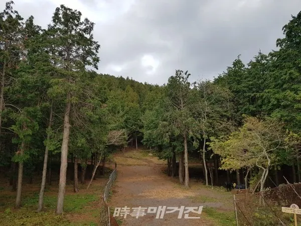 고이오름 소유자이며, 흙염소체험농장 권송덕 대표인 잘조성한 고이오름 등반로(탐방로)이다 (사진-시사매거진 제주본부 김광수 기자)