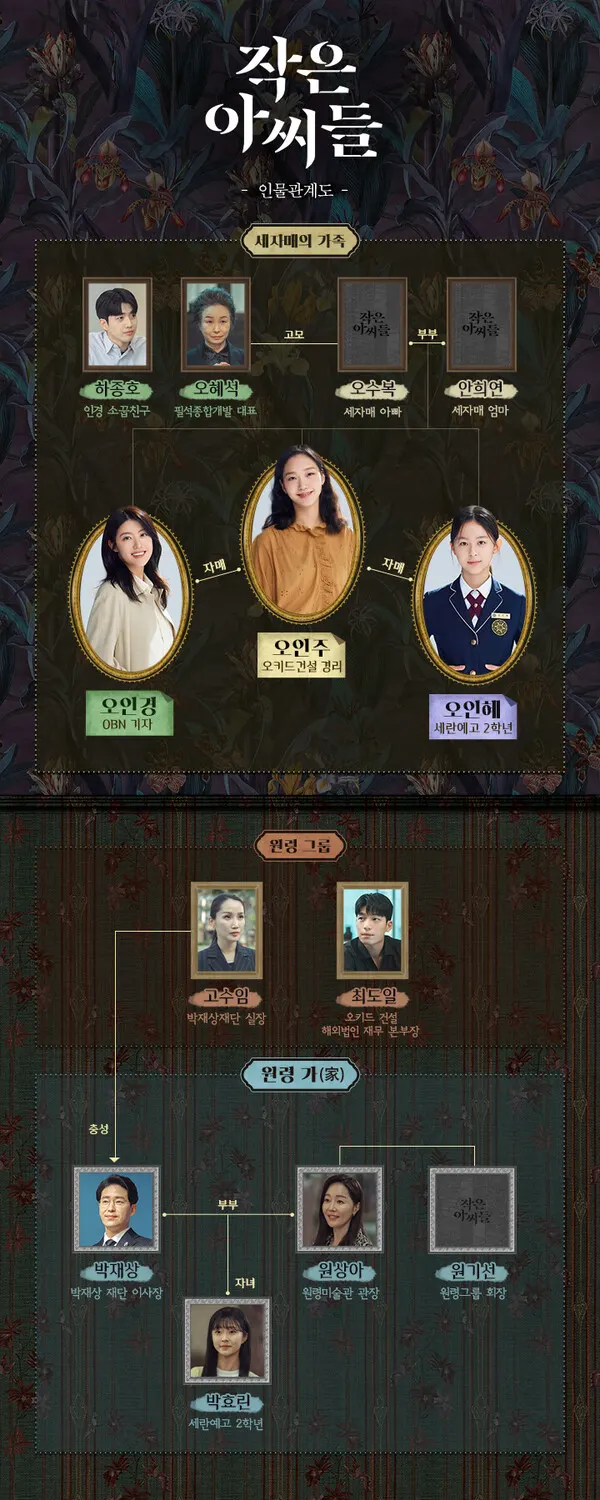 드라마 '작은 아씨들' 인물관계도 / 사진=tvN