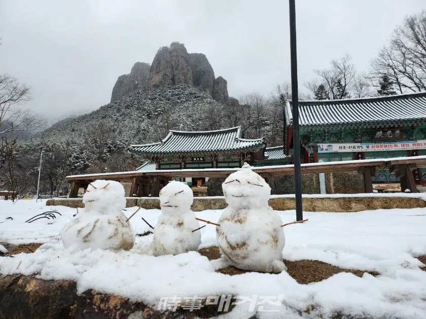 청송 주왕산 대전사 뜰 앞 눈사람 가족(사진_조용우)
