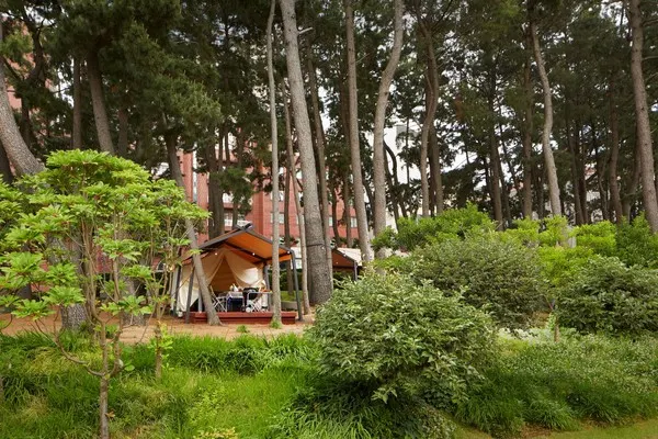 메종 글래드 제주 - 글램핑존