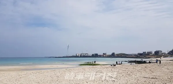 월정리바다