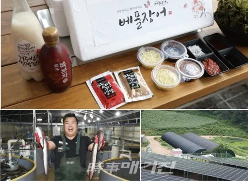 베풀장어사진