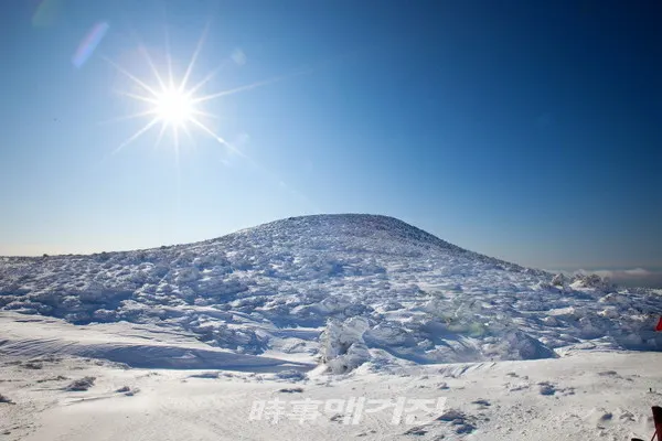 눈덮인 철쭉밭 위로 아름다운 햇빛이 비춰 눈에 반사되고 눈이 반짝이고 있다. (제주본부 박은교 기자)