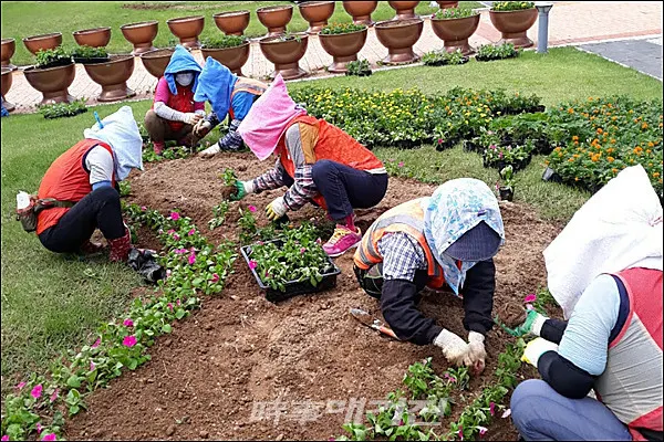 광주 서구, 추석맞이 공원녹지 환경정비(사진_광주 서구제공)