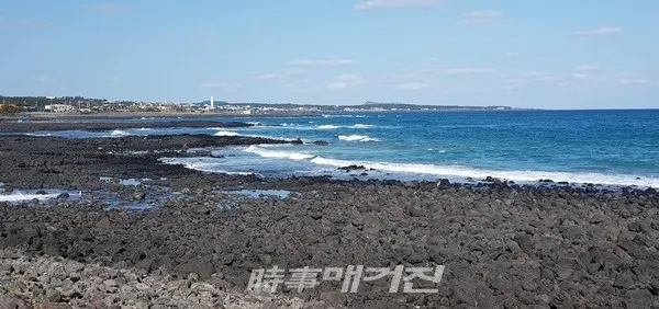 멀리 온평포구
