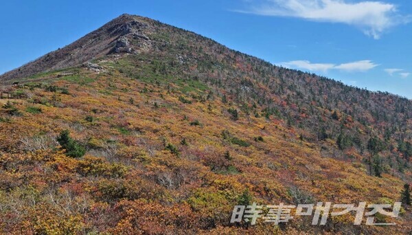 설악산 첫 단풍명소 장소 추천 (기상청 홈페이지)
