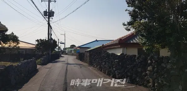 정겨운 오조리 마을