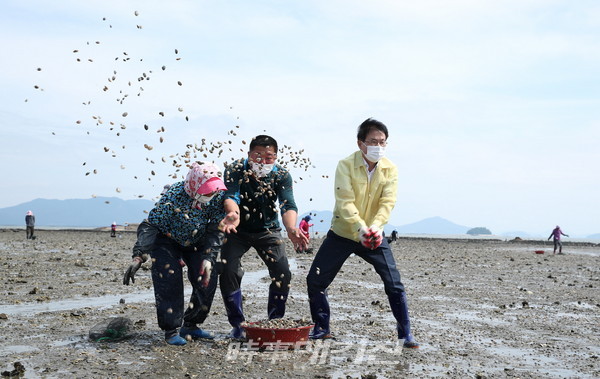강진군, 강진만 일대 바지락 종패 살포 사업 추진(사진_강진군청)