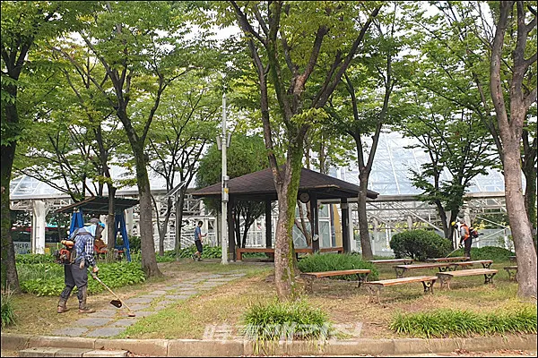 광주 서구, 추석맞이 공원녹지 환경정비(사진_광주 서구제공)