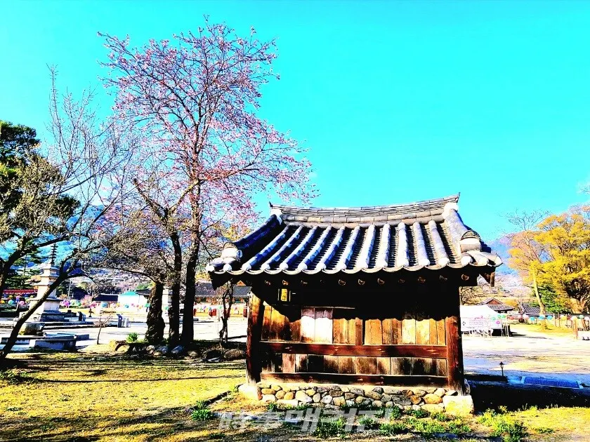 지리산 실상사 소리 박물관, 옛 뒷간을 재활용한 공간이다.(사진_조용우 칼럼니스트)