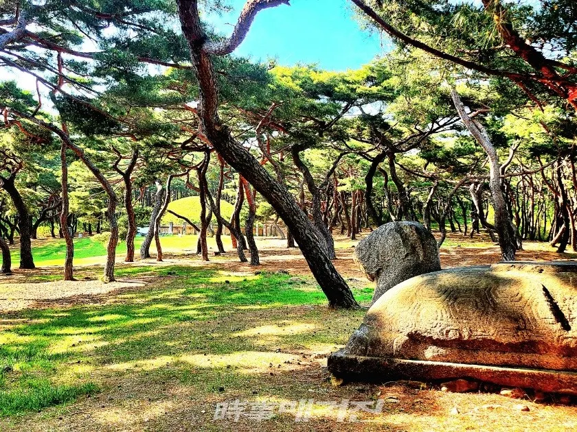 흥덕왕릉의 비 받침인 귀부.(사진_조용우 칼럼니스트)