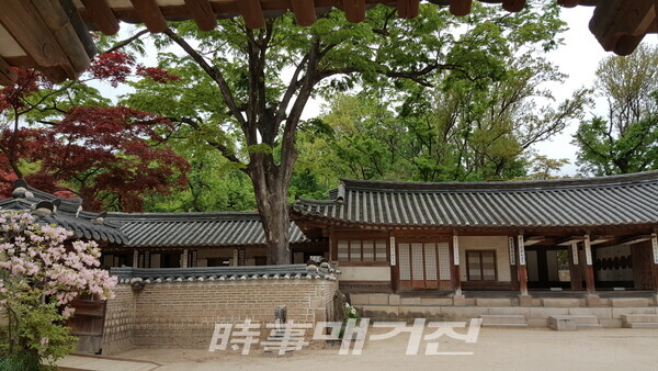 사랑채 앞뜰(사진_안나겸 기자)