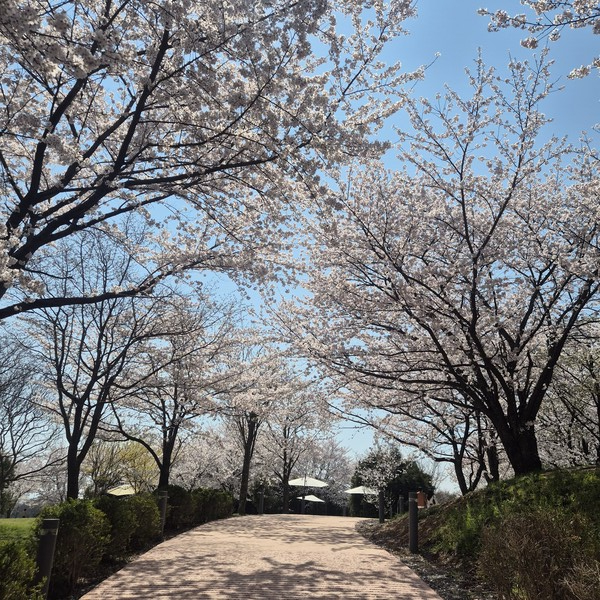 (사진_김진석 기자)