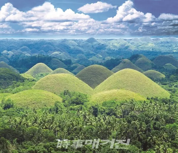 초콜릿힐