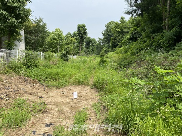 노원구 공릉동 소재(공릉동 64-1) 현장(사진_서울시)