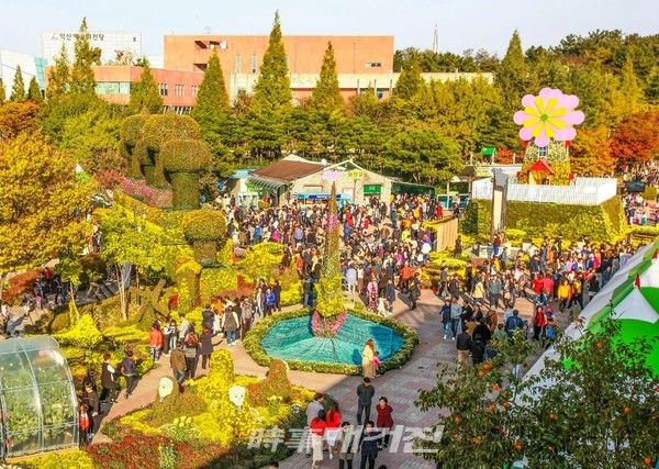 형형색색 국화로 물들인 제16회 익산 천만송이 국화축제 성황(사진_익산시)