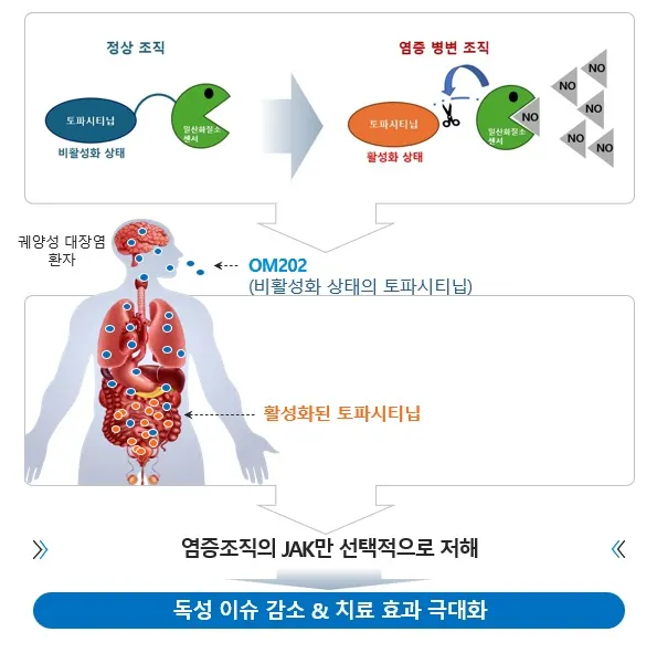 케이메디허브, 궤양성 대장염 치료제 원스톱 개발 지원.(사진_케이메디허브)
