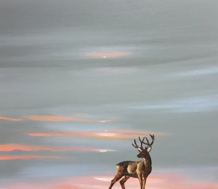 Dear Deer, 2018 김라희