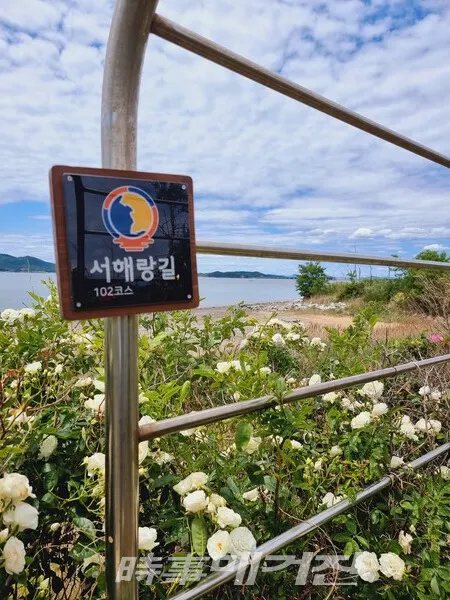 둑길(사진_정용일 기자)