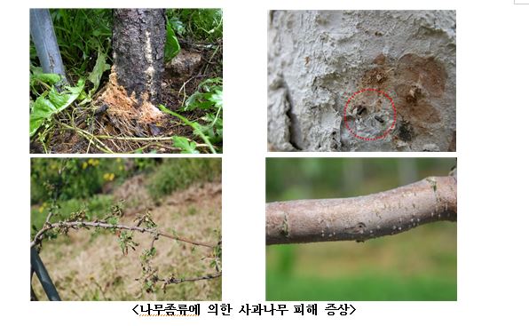 (캡처-농진청)