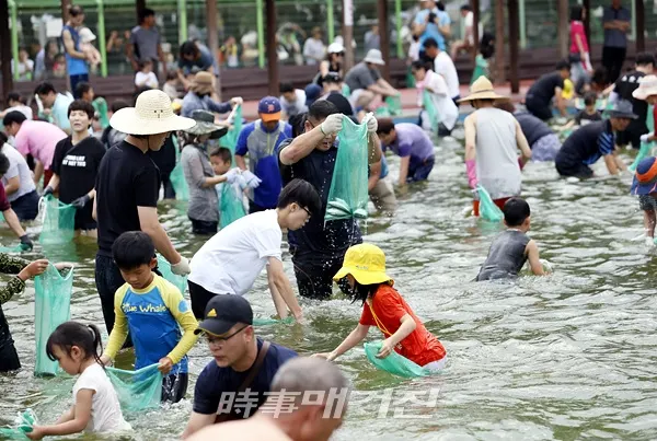 (사진_보성군)