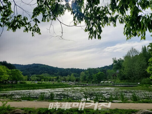 제8경 물의정원(사진_안나겸 기자)