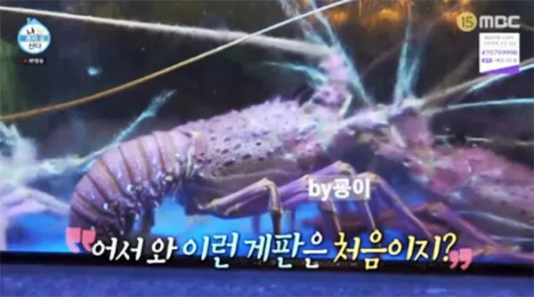 MBC나혼자산다 방송화면 캡쳐