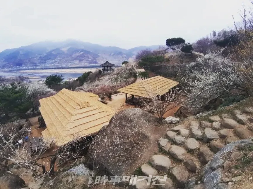 섬진강이 흐르는 광양 매화마을의 풍경.(사진_조용우)
