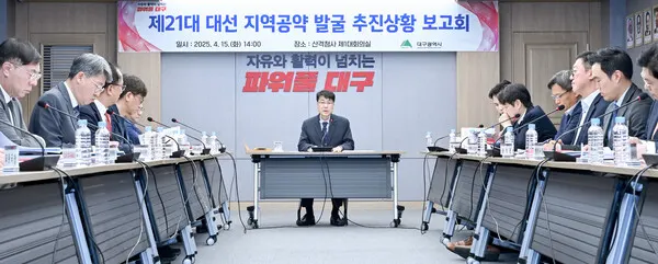 대구시, '21대 대선 지역공약 발굴 추진상황 보고회' 개최.(사진_대구시)