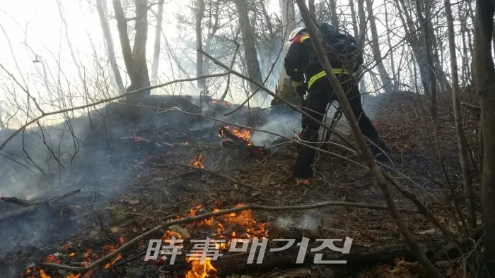 고성 산불 '불길을 잡아라'