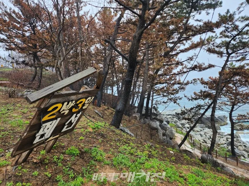영남 산불의 화마로 잿더미가 된 영덕 해안절경길 블루 로드와 해안의 어촌 마을.(사진_조용우 칼럼니스트)