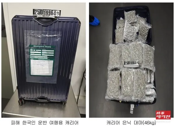 국정원이 공개한 피해 사례를 보면 이모(29) 씨는 태국에 거주하는 베트남 남성으로부터 항공운송 아르바이트 대가로 항공권·호텔 투숙 등을 제공받기로 했다. 이씨는 대마가 든 가방을 태국에서 영국으로 운반하던 중 공항세관에 적발됐으며, 마약 밀반입 혐의로 징역형을 선고받았다.(사진_국정원 제공)